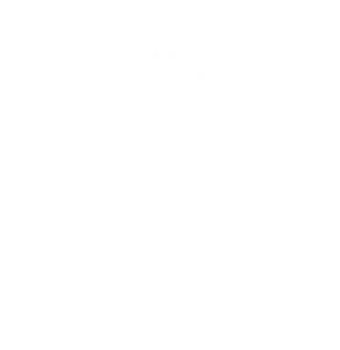 Bru